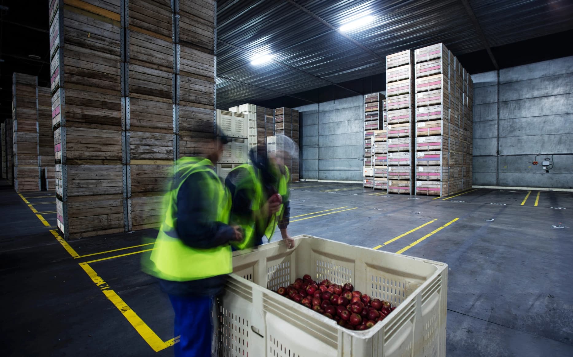 Perishable Goods: Definisi, Jenis Barang, dan Contohnya