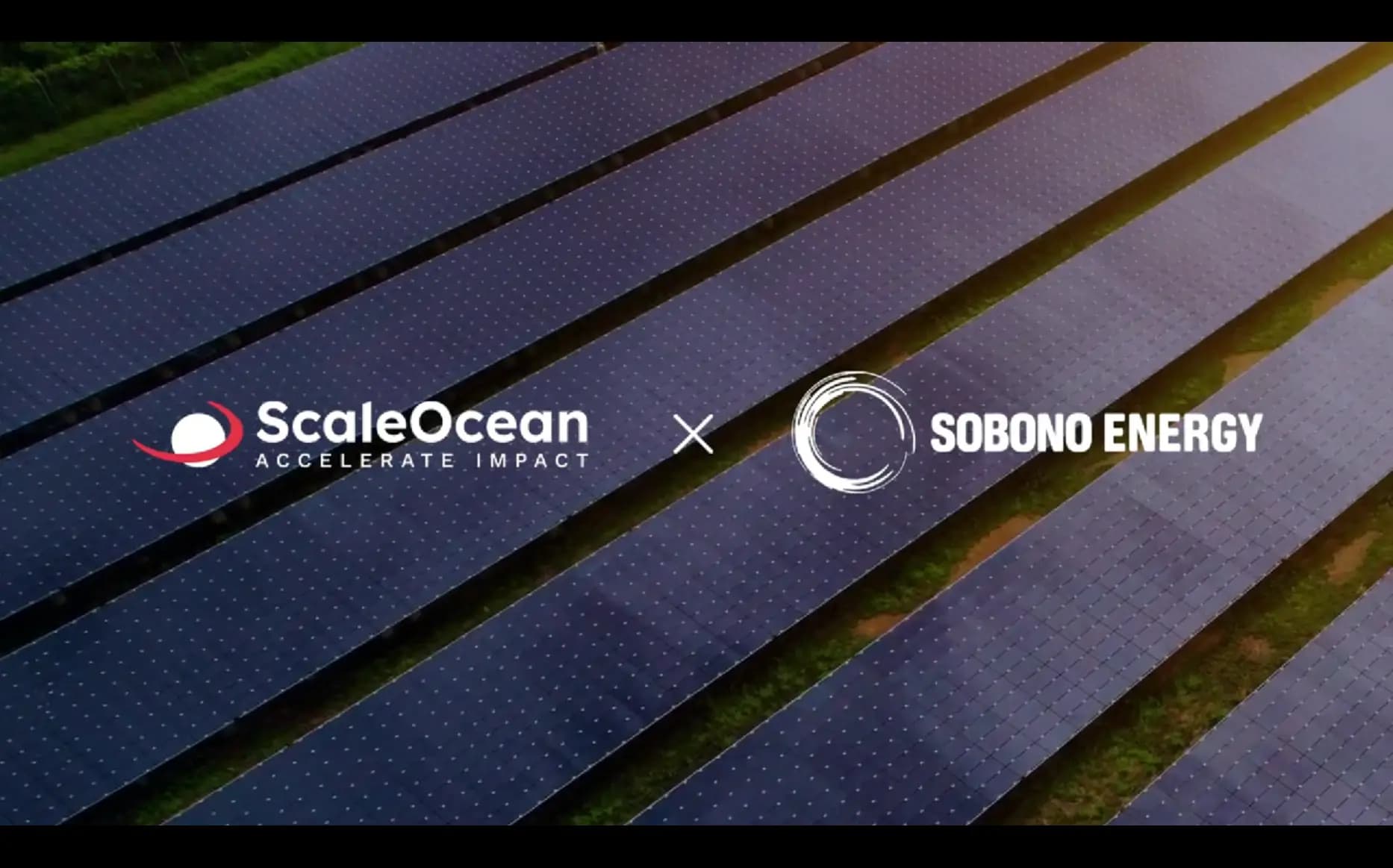 Sobono Group Increased Their Profits by +87% with ScaleOcean