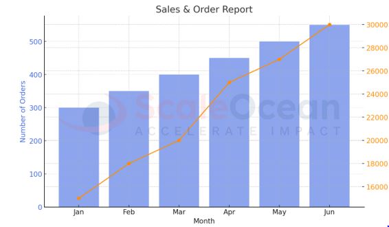 Contoh Laporan Sales & Order