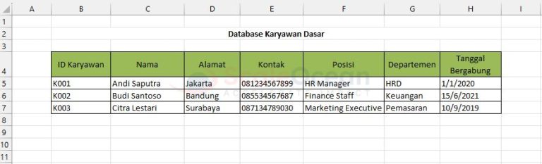 Contoh Database Karyawan Excel untuk HRD dan Cara Membuat