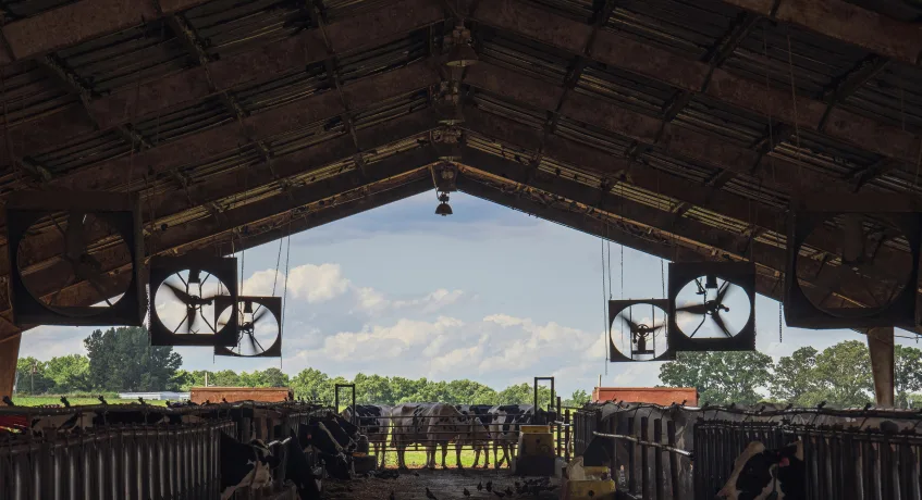 Fungsi gudang terbuka terdiri dari.