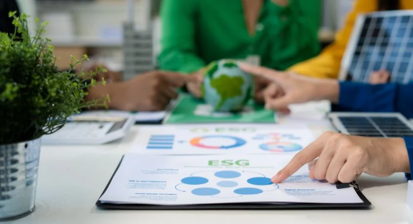 Struktur Standar SASB (Sustainability Accounting Standards Board)