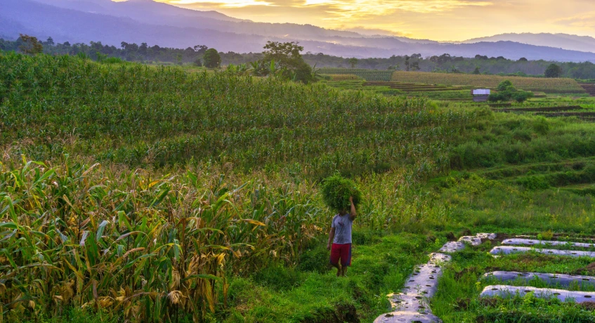 Terdapat beberapa tantangan yang perlu diperhatikan dalam memastikan keberlangsungan masa depan usaha ekstraktif.