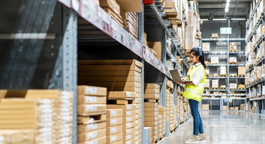 Penyebab Bullwhip Effect