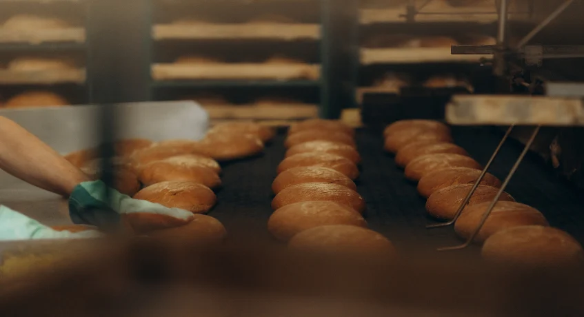 Memilih Bakery Software Berdasarkan Skala Bisnis Anda