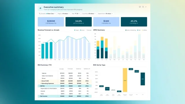 Software Budgeting Pigment