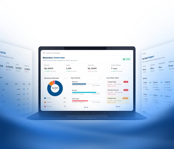 ERP Dashboards