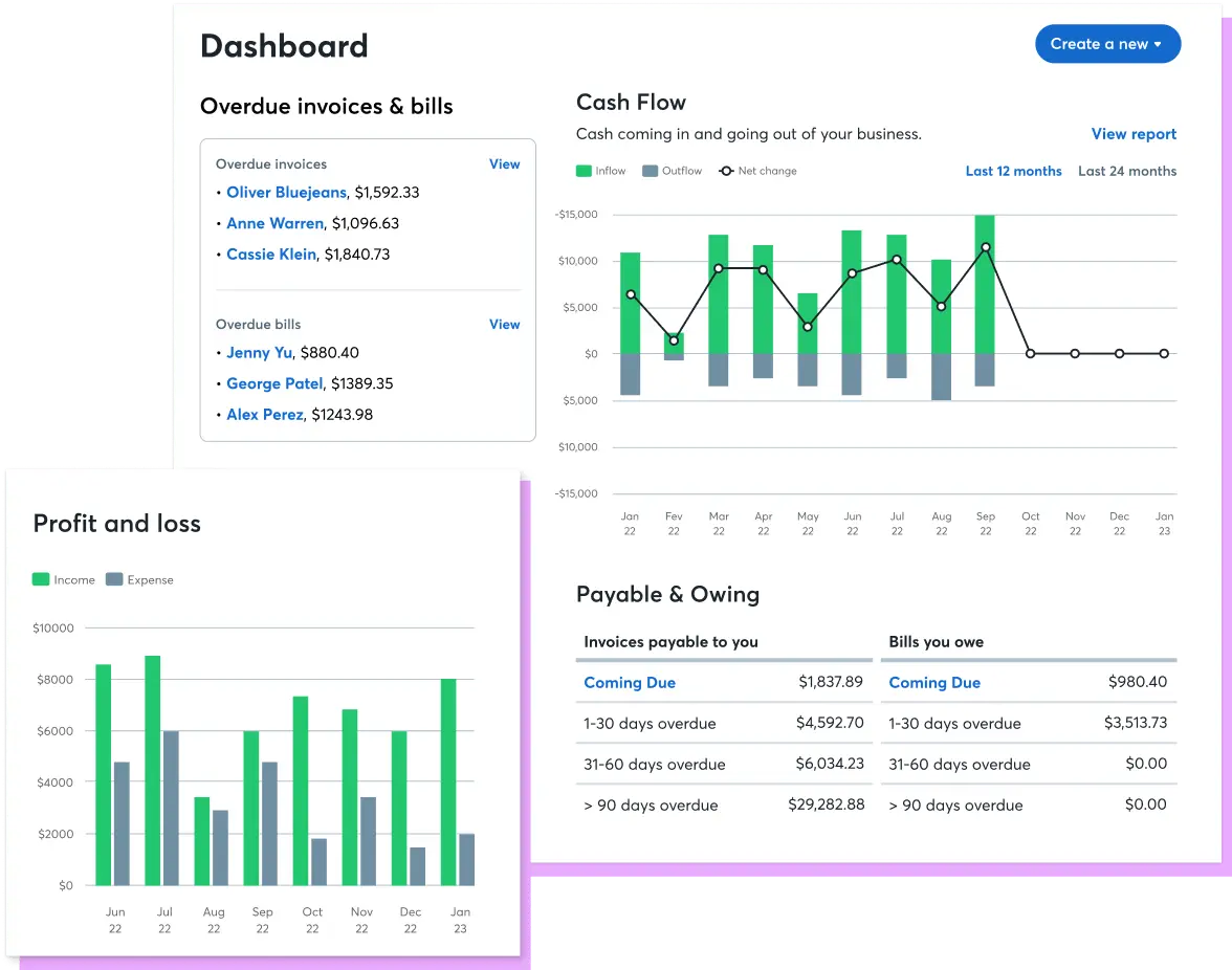Wave Accounting Software dashboard