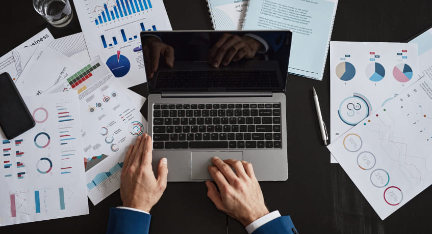 Main Components of a Profit and Loss Statement