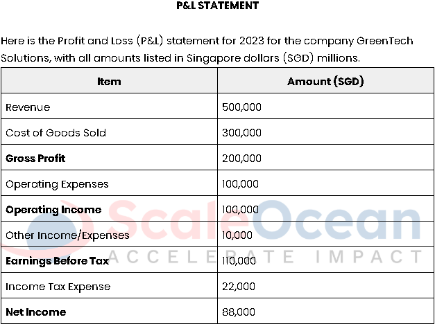 ScaleOcean's profit and loss statement example