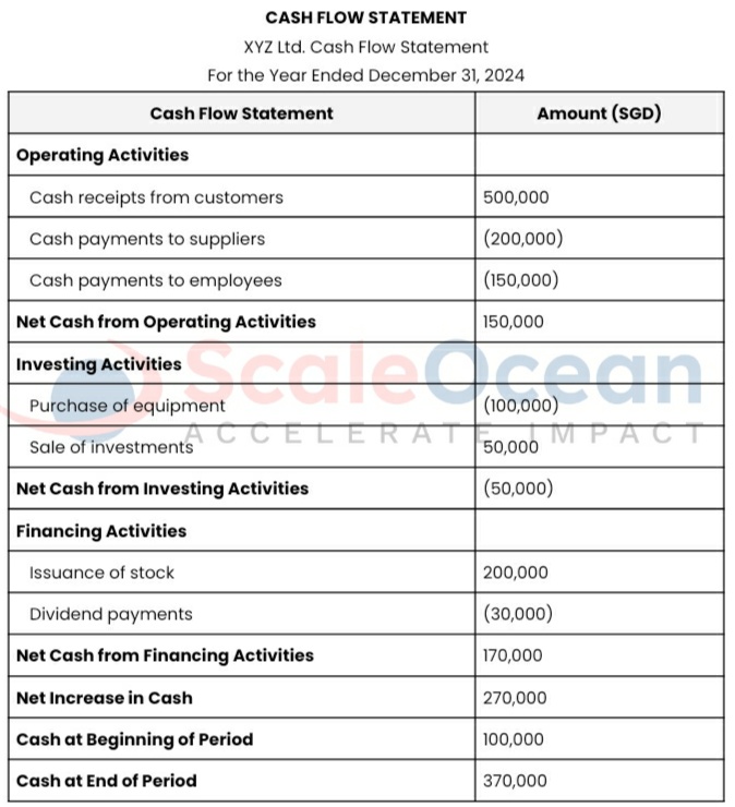 ScaleOcean's Cash Flow Statement: Real-World Example