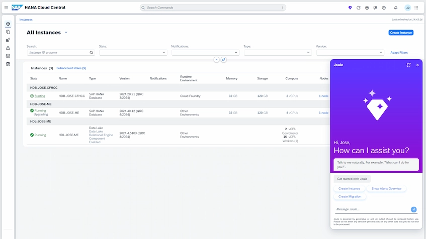 SAP Hana ERP System dashboard