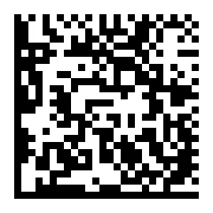 Data Matrix Barcode