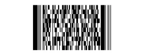 PDF417 Barcode