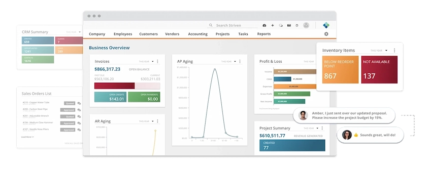 Striven ERP for Professional Service Industry